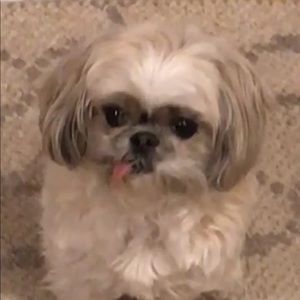 Meet your Posher, Grace